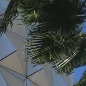 Meet your Posher, Tommy